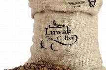 Kopi Luwak, cea mai specială cafea din lume