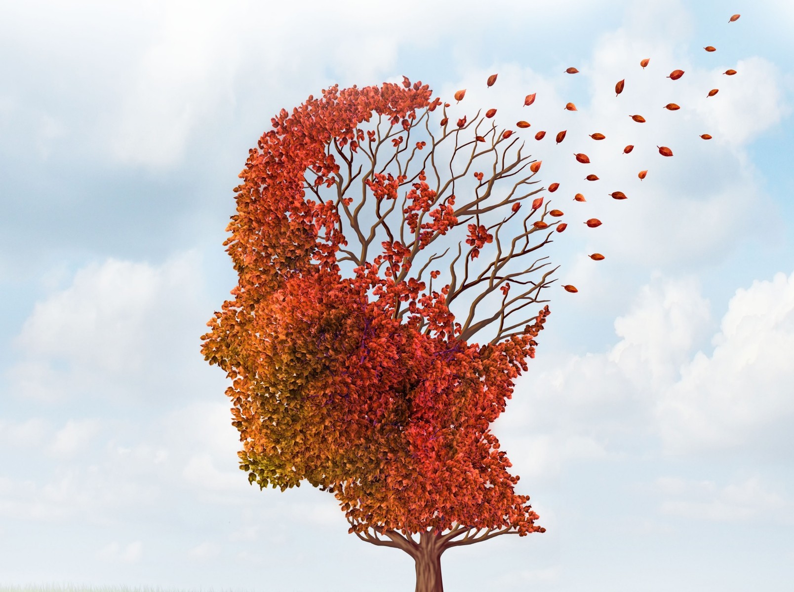 Succesul imens al jocului de cercetare a demenţei