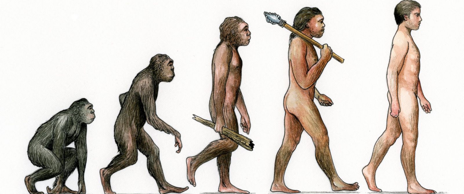 Un expert susţine că oamenii încă evoluează