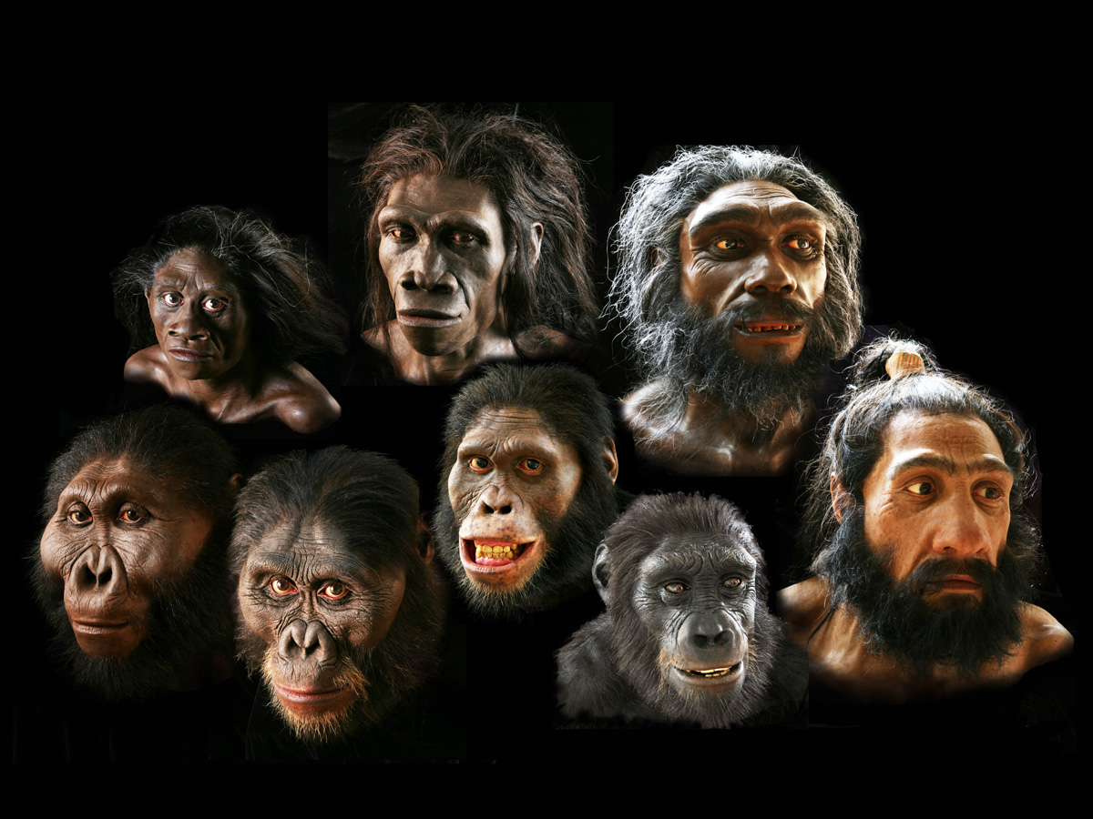 Un expert susţine că oamenii încă evoluează