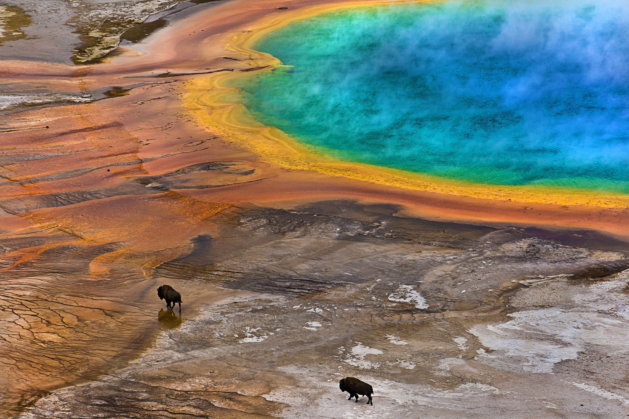 O minune naturală: izvorul termal The Grand Prismatic Spring