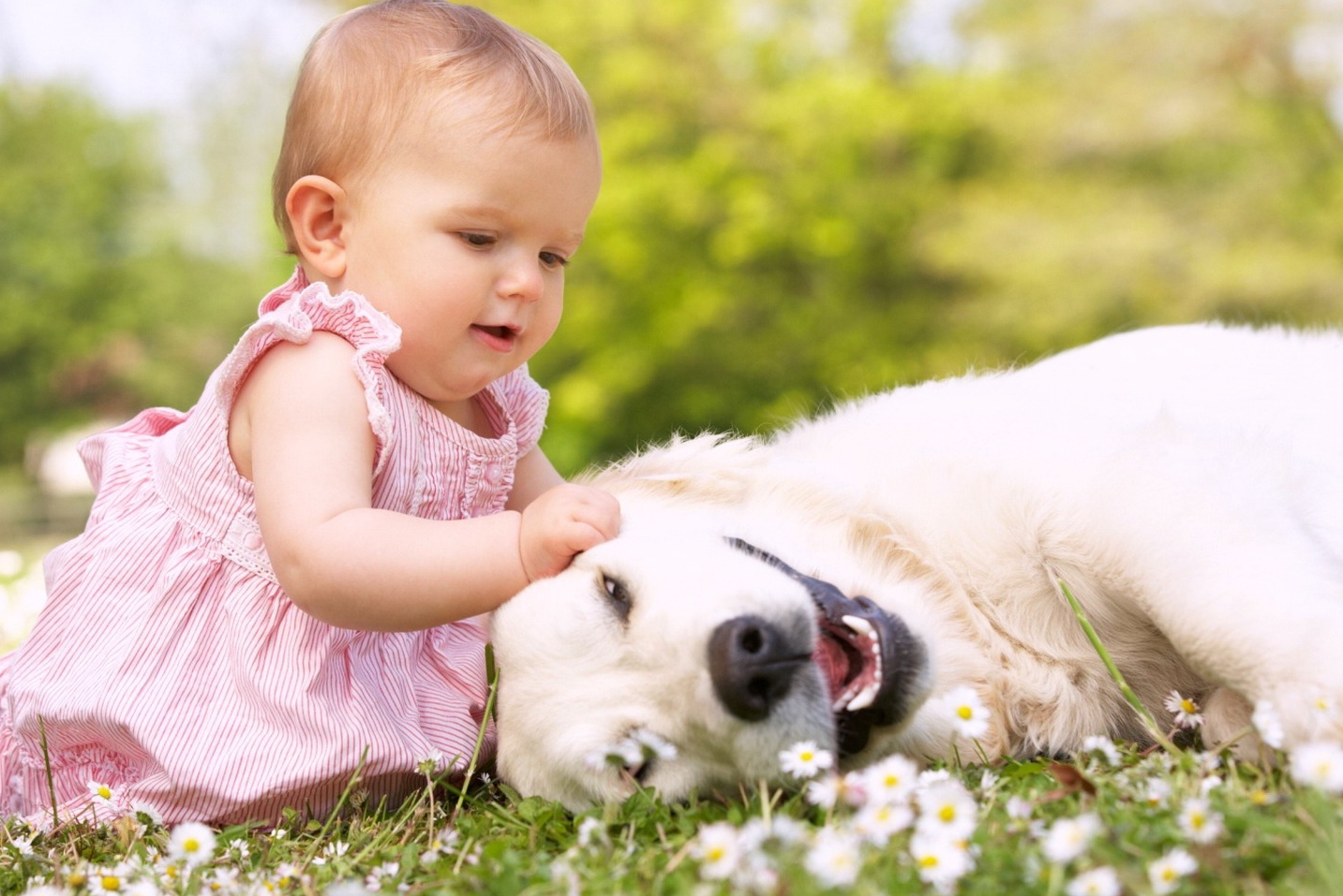 Rolul terapeutic al animalelor de companie