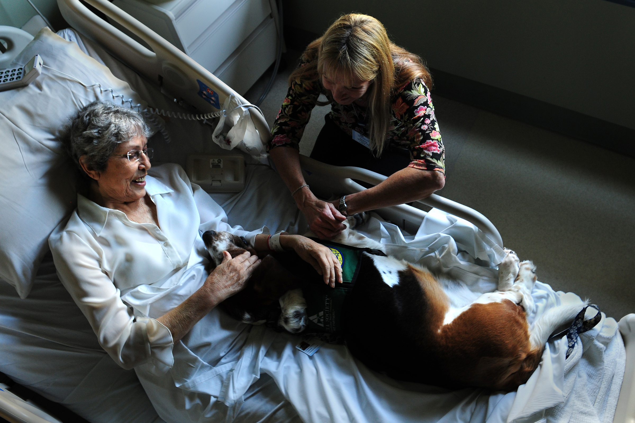 Rolul terapeutic al animalelor de companie