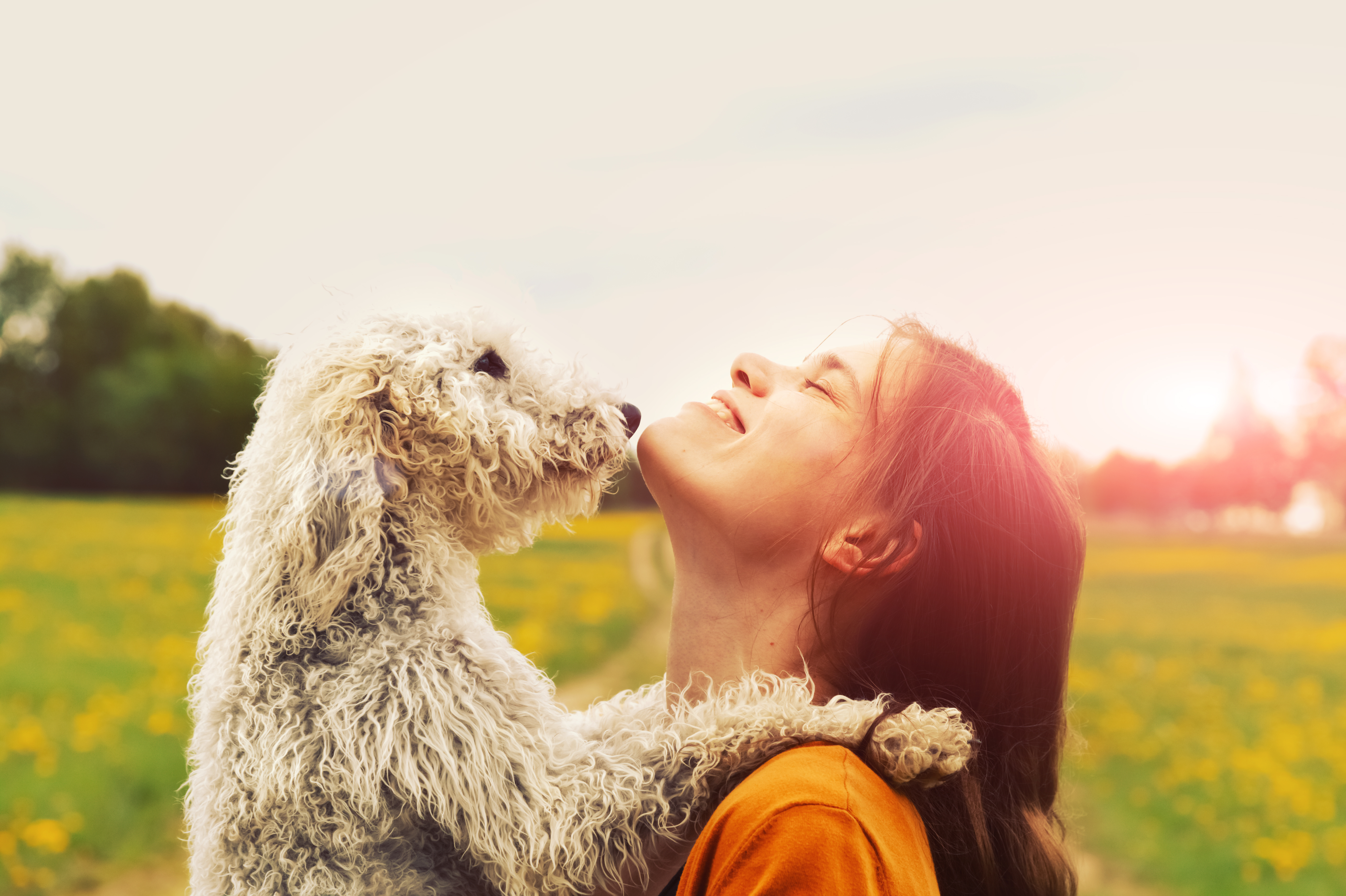 Rolul terapeutic al animalelor de companie