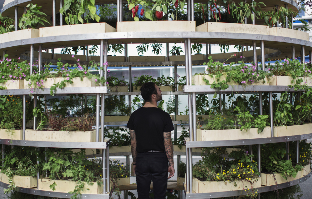 Arhitecţii crează o „grădină de interior” gratuită