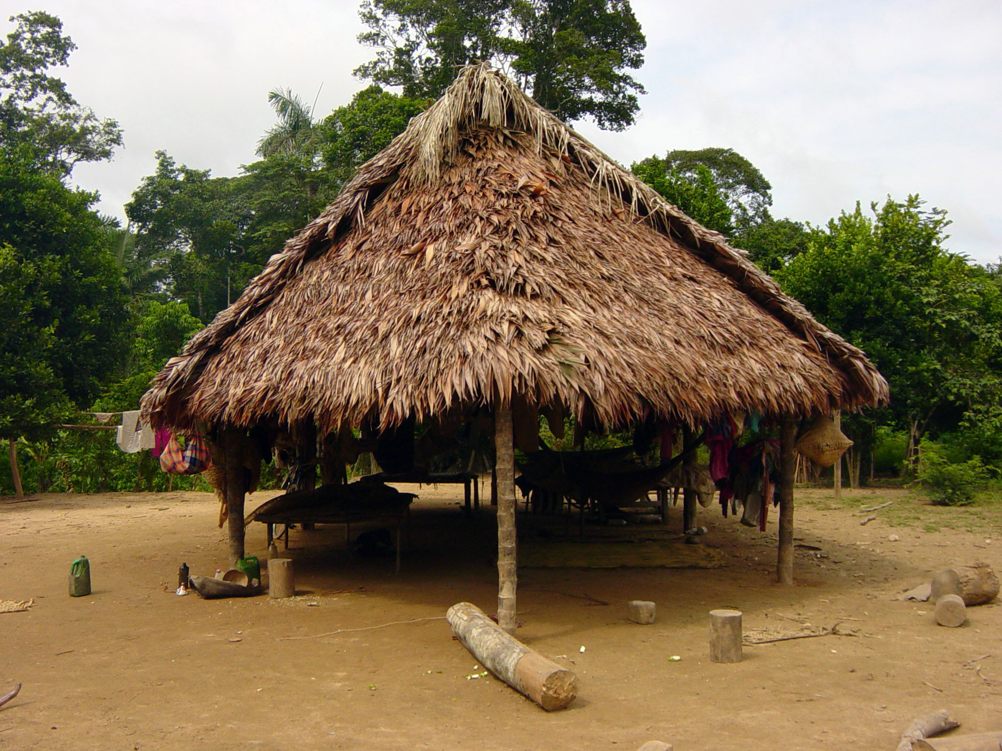 Cele mai sănătoase inimi îi aparţin poporului bolovian Tsimane