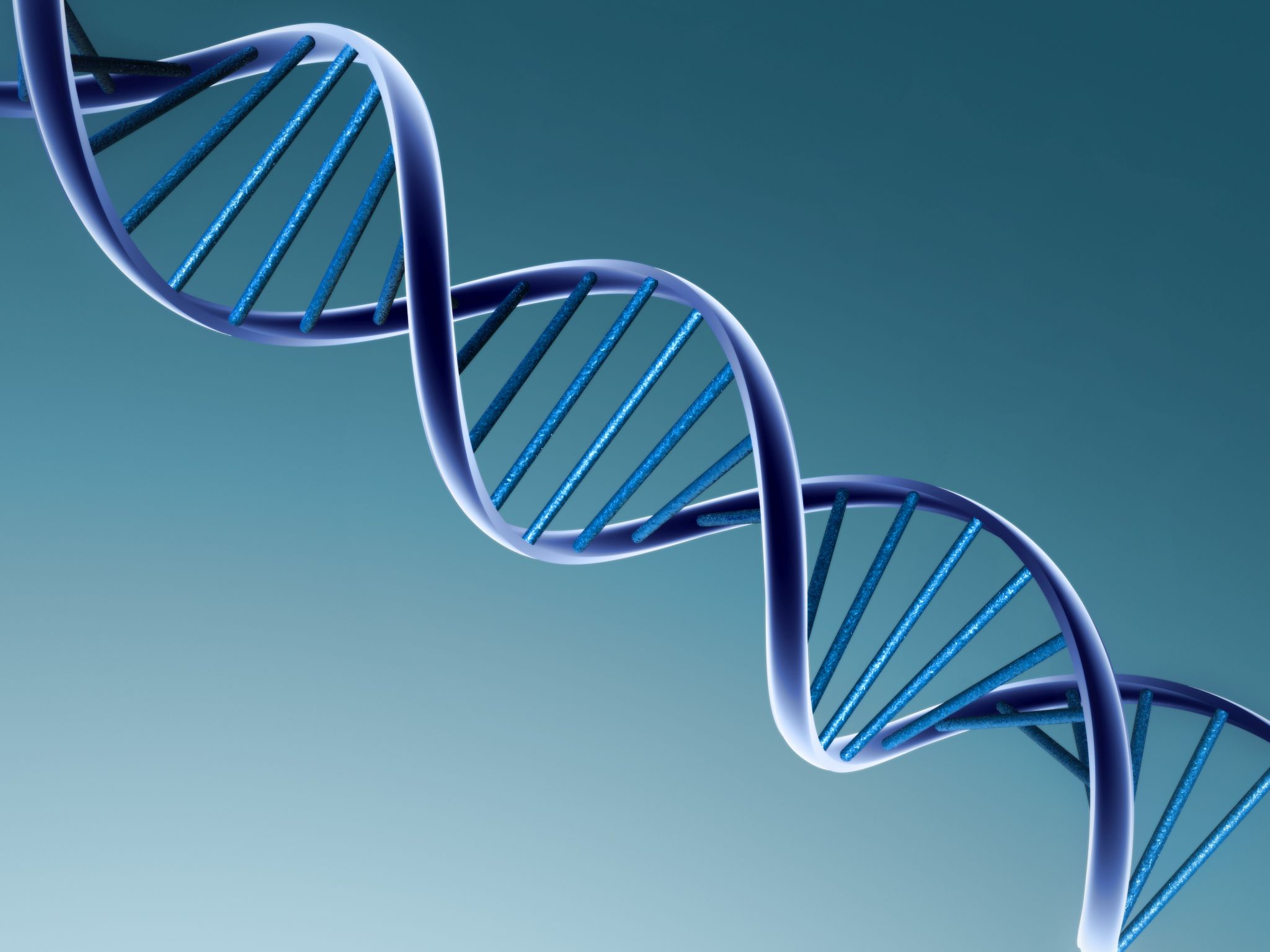„Memoriile” genetice ale strămoşilor ar putea fi transmise timp de 14 generaţii