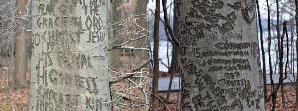 Curioasele gravuri în lemn ale pacienţilor psihiatrici din Perryville