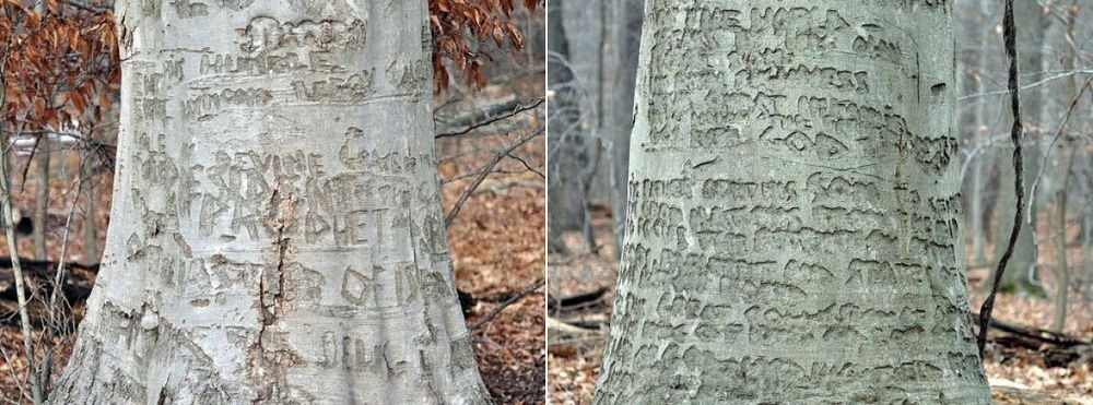Curioasele gravuri în lemn ale pacienţilor psihiatrici din Perryville