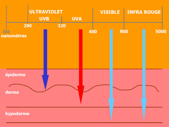 Cum ne protejează substanţele chimice din crema pentru protecţie solară?
