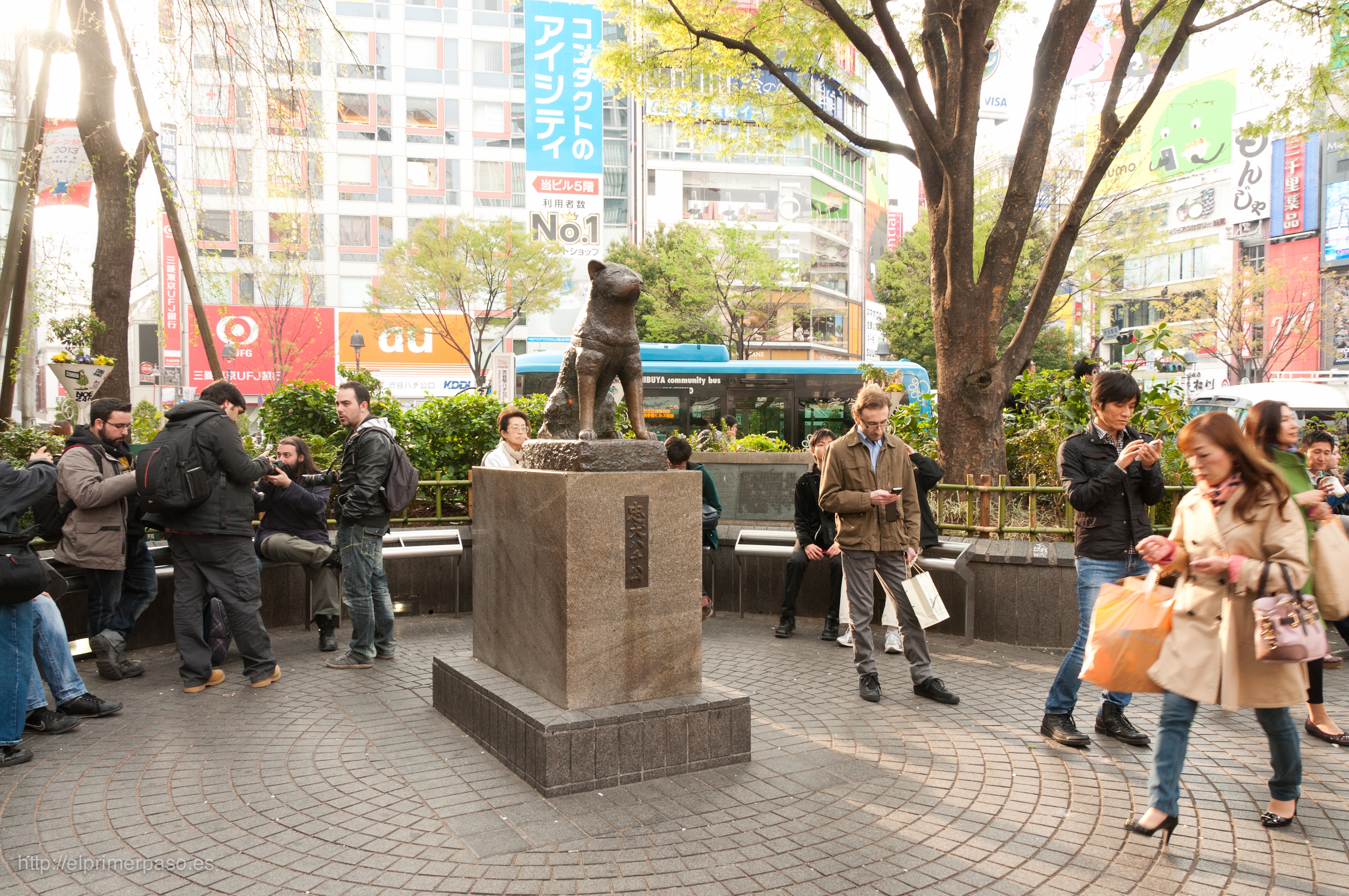 Hachiko: cel mai loial câine din istorie