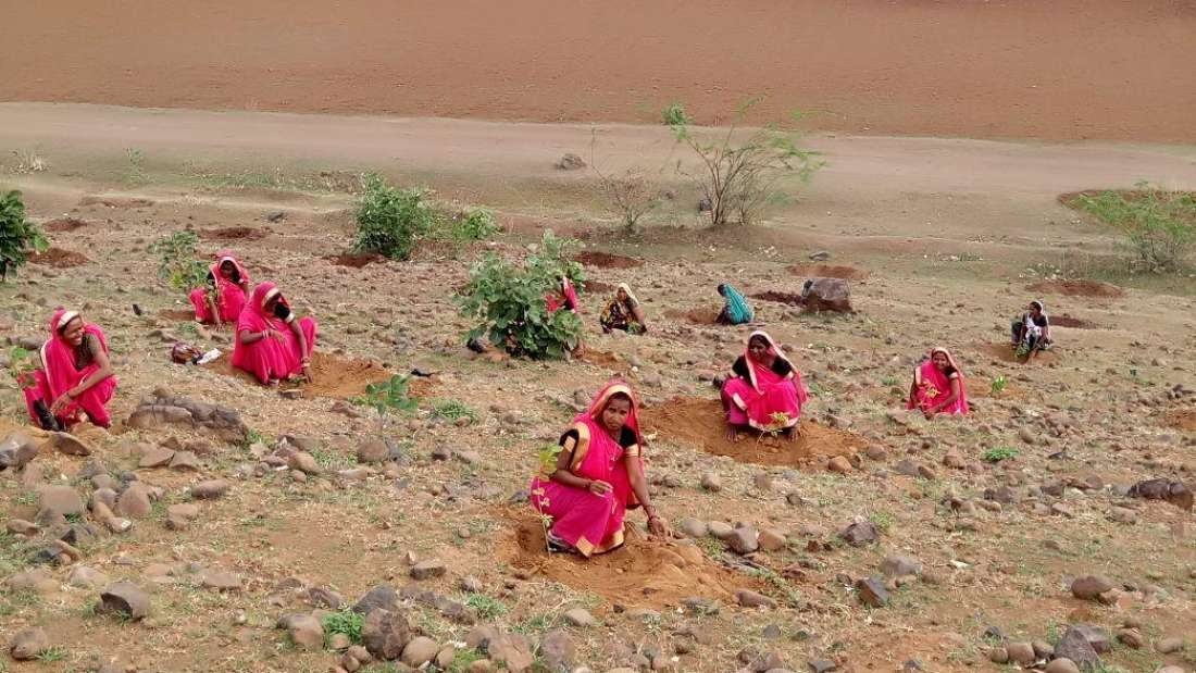 India tocmai a plantat 66 de milioane de copaci în doar 12 ore