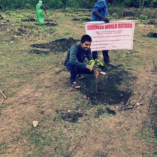 India tocmai a plantat 66 de milioane de copaci în doar 12 ore