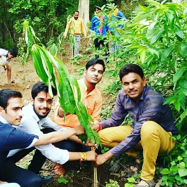 India tocmai a plantat 66 de milioane de copaci în doar 12 ore