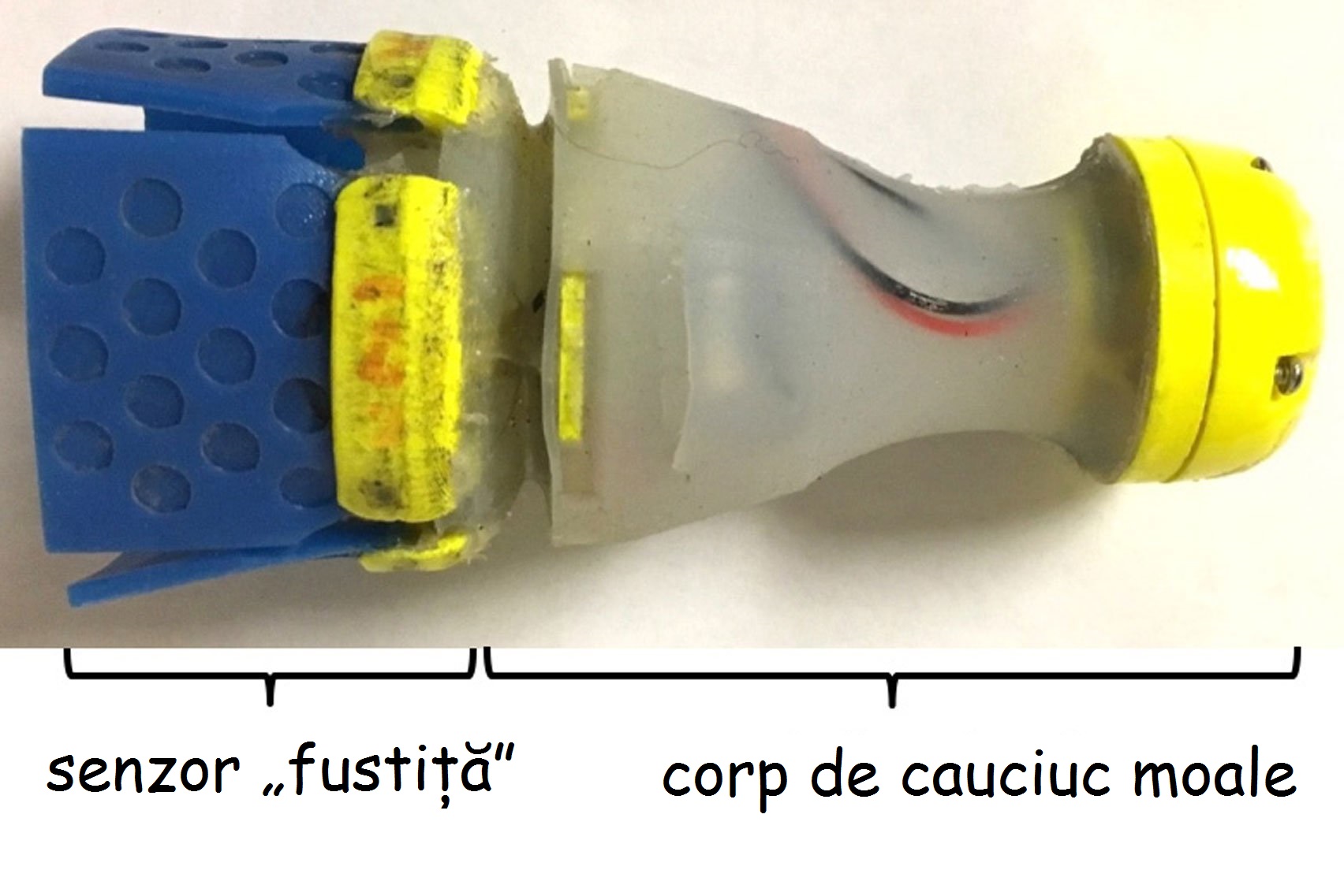 Micul robot care identifică scurgerile din conducte