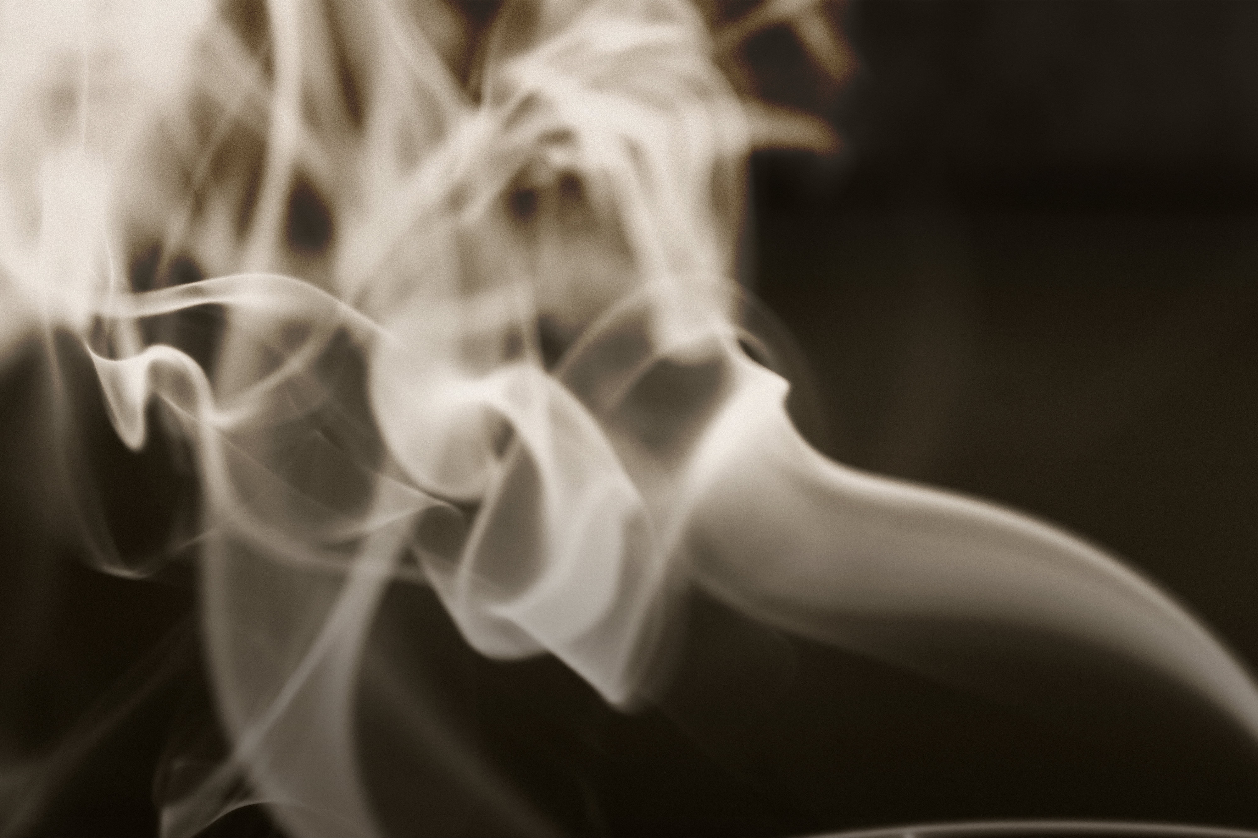 Cele mai grave feţe, nu fumează cocaină, ci scorpioni