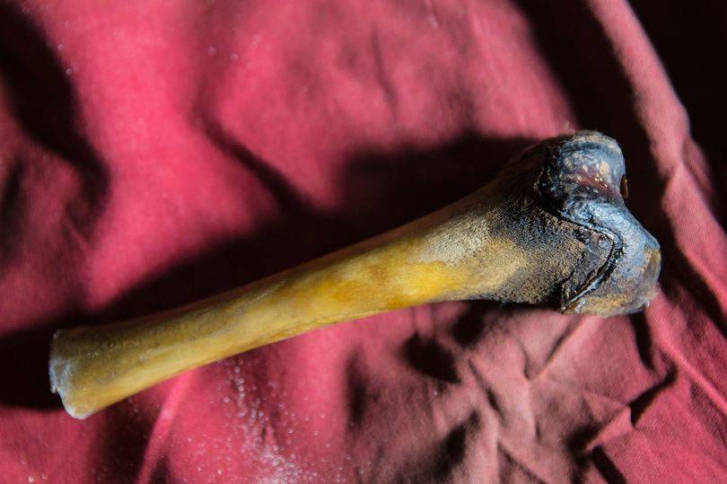 Oamenii de ştiinţă au descoperit adevărul despre legendarul Yeti