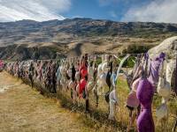 Noua modă a neo-zeelandezilor: decorarea gardurilor cu gunoi