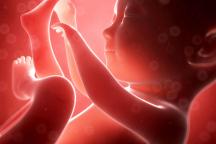 Lichidul amniotic poate inversa procesul de îmbătrânire a oaselor