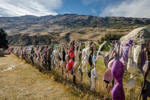 Noua modă a neo-zeelandezilor: decorarea gardurilor cu gunoi