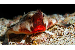 Foto: imageBROKER / Alamy Stock Photo