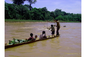 Viata de zi cu zi a aborigenilor Tsimane din Amazonul bolivian