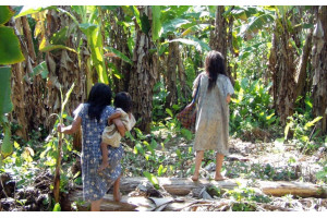 Viata de zi cu zi a aborigenilor Tsimane din Amazonul bolivian