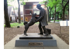 O statuie a lui Hachiko intampinandu-si stapanul, in campusul Universit%u0103%u0163ii din Tokyo. Foto: Timeout.jp