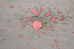 Foto: Terra Libera/Flickr