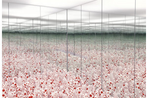 Yayoi Kusama, Camera Infinity Mirror Room - Lucrarea Phalli