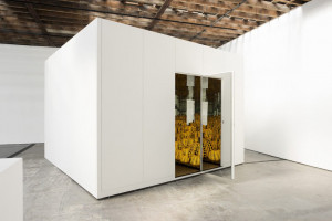 Yayoi Kusama, Toata dragostea eterna pe care o am pentru dovleci; Foto:Ota Fine Arts, Cathy Carver
